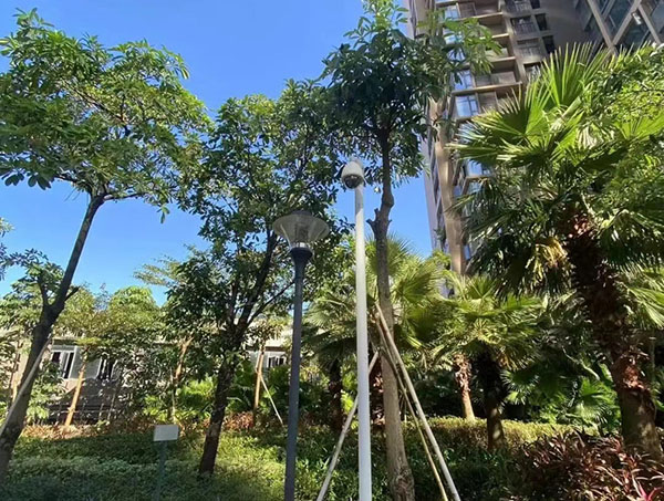 <b>《金年会科技 ：质量先行 票鹄肓上》</b>