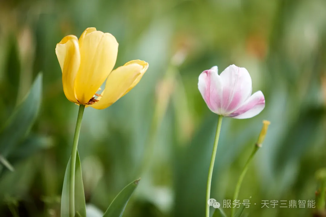 <b>《于通俗的岁月中感知生命：愿你被时光善待 被岁月呵护》</b>